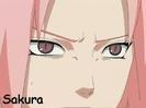 naruto368979488