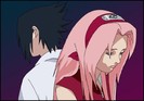 SasuSaku_colour_by_Veg_pl