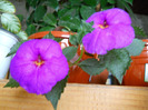 DSCN1053