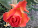 Fotografie0792