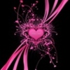 y love you