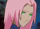 naruto_sakura0246