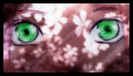 sakura_by_Alexielle87
