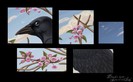 Details___Tribute_to_Spring_by_Feathers_of_Love