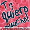 y love you
