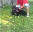 Mereanu si Ploiesteanu la 3 luni