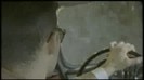 bscap0062