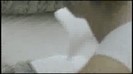 bscap0100