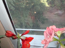 AM INLFORIT,,18,09.2011