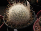 DSCN5839