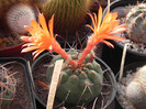 DSCN5841