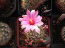 DSCN5846