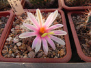 DSCN5865