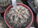 DSCN5884