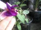 P18-09-11_09.24[2]