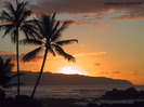 sunset19