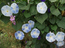 DSCF5258