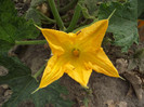 DSCF5273