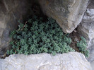 DSCF5307
