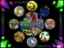 veverita