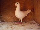 DSC08650
