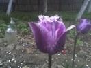 11-05-11_1814