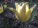 12-05-11_1601