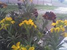 20-04-11_1812