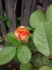 P040711_12.56_[02]
