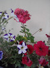 P090911_18.30_[04]