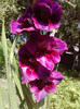 P180711_10.14_[02]