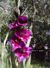 P180711_10.14_[03]