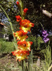 P180711_10.14_[04]
