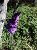 P180711_10.17_[01]
