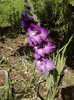 P180711_10.17_[02]