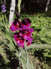 P180711_10.18_[01]