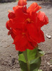 P180711_10.20