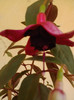 P180711_10.50_[02]