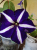 P180711_10.51_[01]