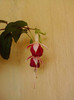 P180711_10.52_[01]