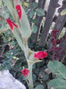 P220711_08.24_[01]