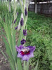 P220711_08.26_[01]