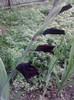 P220711_08.29_[02]
