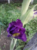 P220711_08.30_[01]