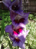 P230711_09.45_[02]