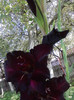 P230711_09.46_[03]