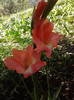 P230711_09.48_[01]