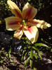 P230711_09.50_[01]