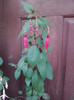 P270611_19.24_[02]
