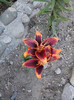 P270611_19.25_[04]